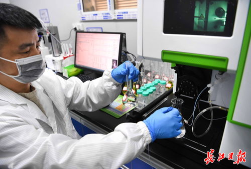 武漢中小企業借腦高校，以專精特新勁頭角逐信息技術賽道