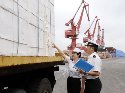 廈門海關東渡海關高效監管進口紙漿裝卸，保障供應鏈暢通